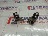 Петли двери задней правой Renault Megane 3