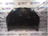 Капот Renault Megane 3 651009018R
