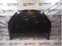 Капот Renault Megane 3 651009018R