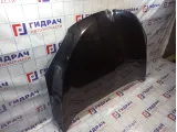 Капот Renault Megane 3 651009018R