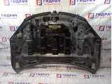 Капот Renault Megane 3 651009018R
