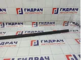 Молдинг крыши правый Renault Megane 3 738520086R