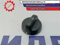 Ручка корректора фар Renault Sandero 8200299460.