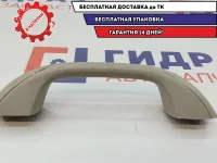 Ручка внутренняя потолочная Renault Sandero 8200845691.