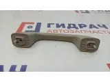 Ручка внутренняя потолочная Renault Sandero 8200845691.