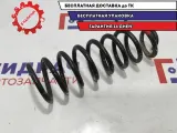 Пружина задняя Renault Sandero 6001548731. Красная метка.