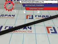 Уплотнитель стекла двери внутренний Renault Sandero 6001547003. Левый.