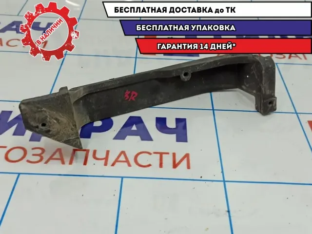 Усилитель двери задней правой Renault Sandero 821888264R.