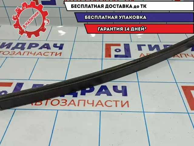 Направляющая стекла двери задней правой Renault Sandero 8200950234.
