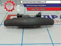 Ручка двери наружная левая задняя Renault Sandero 806074969R.