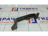 Усилитель двери задней левой Renault Sandero 821896843R.