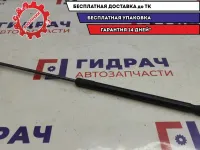 Амортизатор двери багажника Renault Sandero 8200735264.