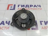 Динамик передний Renault Sandero Stepway (5S)