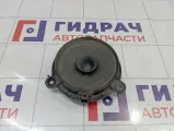 Динамик задний Renault Sandero Stepway (5S) 281444271R