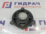 Динамик задний Renault Sandero Stepway (5S) 281444271R