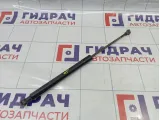 Амортизатор двери багажника Renault Sandero Stepway (5S) 904529943R