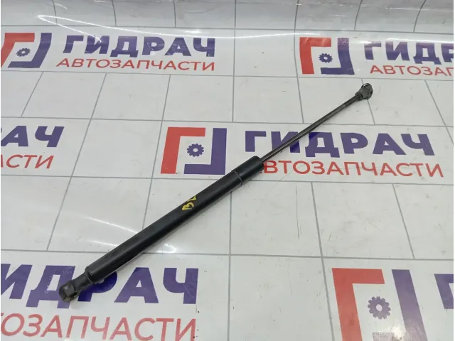 Амортизатор двери багажника Renault Sandero Stepway (5S) 904529943R