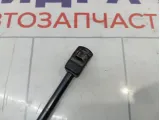 Амортизатор капота Renault Sandero Stepway (5S)