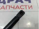 Амортизатор капота Renault Sandero Stepway (5S)