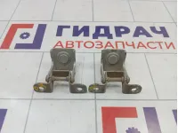 Петли двери багажника Renault Sandero Stepway (5S)