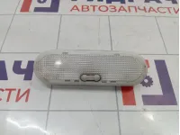 Плафон салонный Renault Sandero Stepway (5S) 264300167R