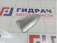 Антенна Renault Sandero Stepway (5S) Антенна Renault Sandero Stepway (5S)