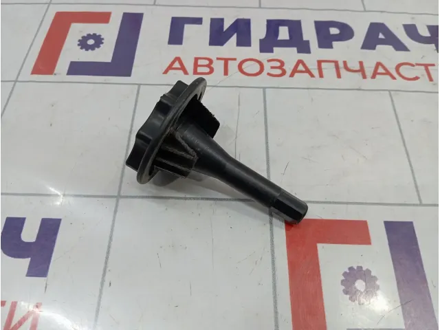 Болт крепления запасного колеса Renault Sandero Stepway (5S) 7703041034