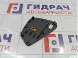 Накладка торпедо левая с торца Renault Sandero Stepway (5S) 243224923R