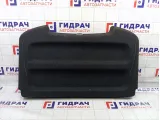 Полка Renault Sandero Stepway (5S) 794205491R