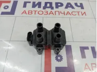 Катушка зажигания Renault Sandero Stepway (5S) 224336134R