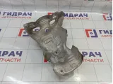 Экран тепловой Renault Sandero Stepway (5S) 298539845R