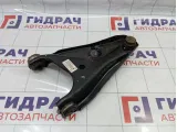 Рычаг передний правый Renault Sandero Stepway (5S) 545001064R