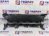 Решетка в бампер центральная Renault Sandero Stepway (5S) 622548039R