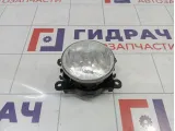 Фара противотуманная Renault Sandero Stepway (5S) 261500097R