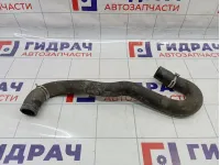 Патрубок радиатора Renault Sandero Stepway (5S) 215012952R