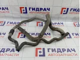 Шланг системы охлаждения Renault Sandero Stepway (5S)