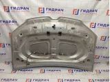 Капот Renault Sandero Stepway (5S)