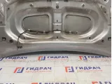 Капот Renault Sandero Stepway (5S)