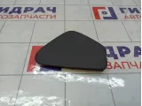 Крышка блока предохранителей Renault Sandero 243224923R