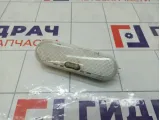 Плафон салонный Renault Sandero 8200074362