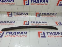 Направляющая стекла двери задняя правая Renault Sandero 822304066R