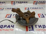 Кулак поворотный левый Renault Sandero 400158414R