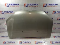 Капот Renault Sandero 651002659R