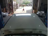 Крыша Renault Sandero 731128542R