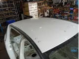 Крыша Renault Sandero 731128542R