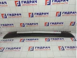 Рейлинг левый Renault Sandero 738215293R