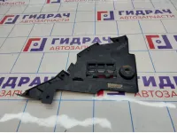 Пыльник переднего бампера Renault Sandero Stepway (5S) 620254996R