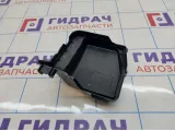 Крышка блока предохранителей Renault Sandero Stepway (5S) 243825499R
