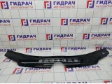 Дефлектор капота Renault Sandero Stepway (5S)