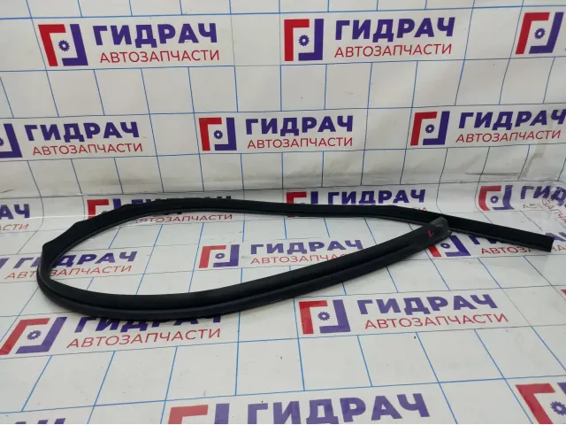 Уплотнитель крыши левый Renault Sandero Stepway (5S) 768616418R
